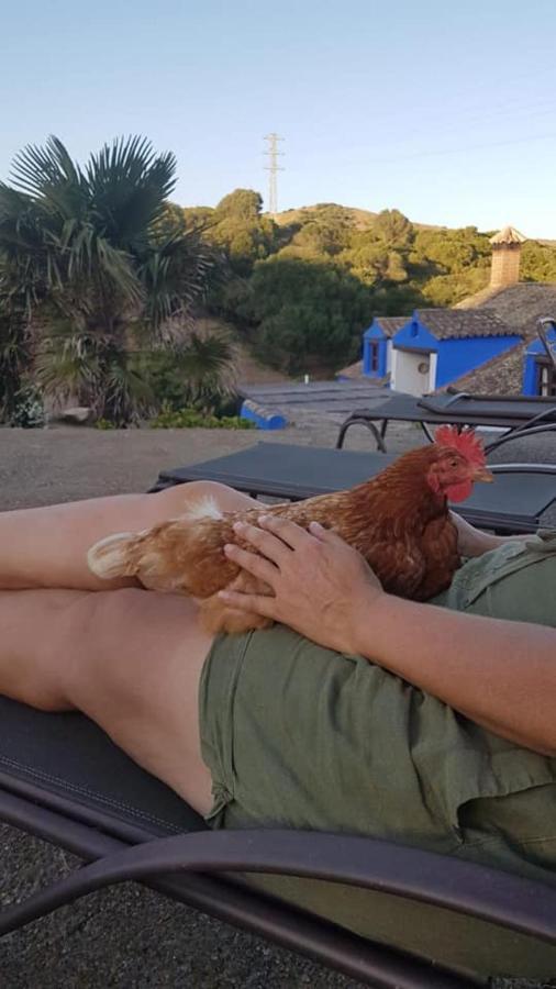 Finca La Cantarera Tarifa Zewnętrze zdjęcie