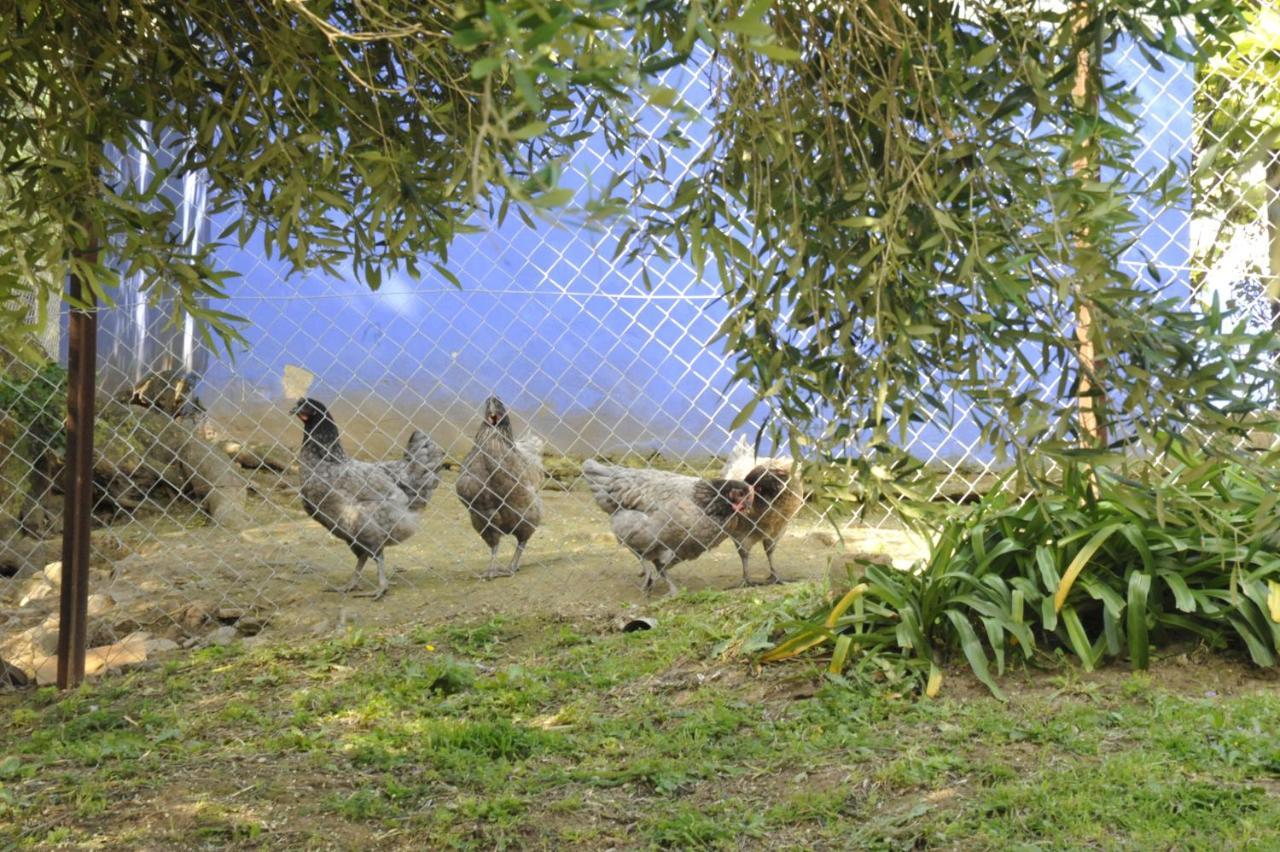 Finca La Cantarera Tarifa Zewnętrze zdjęcie
