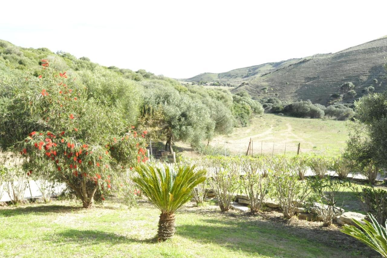 Finca La Cantarera Tarifa Zewnętrze zdjęcie